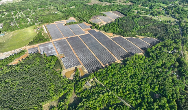 A Europa tem 51TW de potencial fotovoltaico agrícola, 25 vezes a procura atual de eletricidade