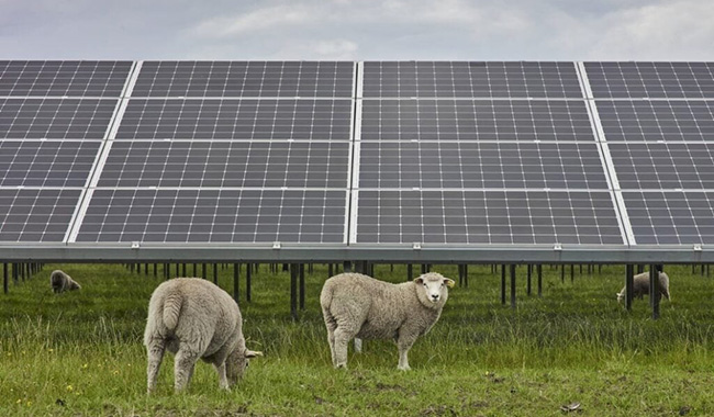 O Vietnã lança a mais recente política de energia solar!